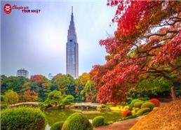 [HCM] Tour Nhật Bản Cung Đường Romantic Mùa Thu 6N5Đ